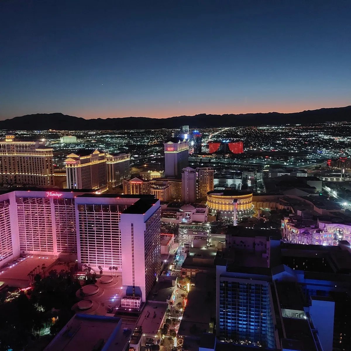 VR Adventures ride setup